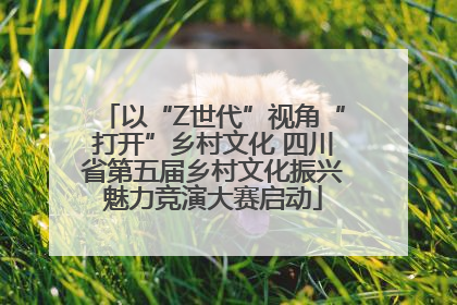 以“Z世代”视角“打开”乡村文化 四川省第五届乡村文化振兴魅力竞演大赛启动