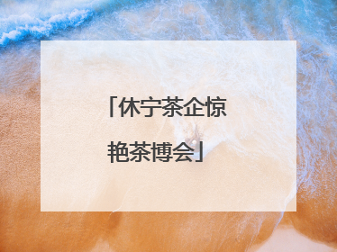 休宁茶企惊艳茶博会