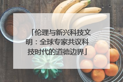 伦理与新兴科技文明：全球专家共议科技时代的道德边界