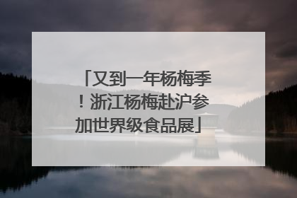 又到一年杨梅季！浙江杨梅赴沪参加世界级食品展