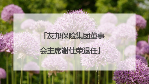 友邦保险集团董事会主席谢仕荣退任