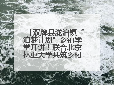 双牌县泷泊镇“泊梦计划”乡镇学堂开讲！联合北京林业大学共筑乡村教育新未来