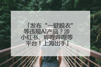 发布“一键脱衣”等违规AI产品？涉小红书、哔哩哔哩等平台！上海出手