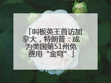 叫板英王首访加拿大，特朗普：成为美国第51州免费用“金穹”