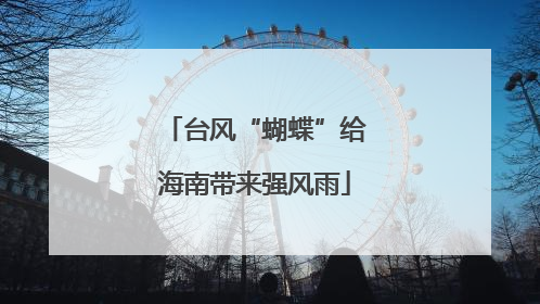 台风“蝴蝶”给海南带来强风雨
