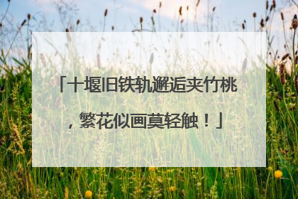十堰旧铁轨邂逅夹竹桃，繁花似画莫轻触！