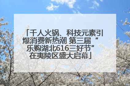 千人火锅、科技元素引爆消费新热潮 第三届“乐购湖北616三好节”在夷陵区盛大启幕