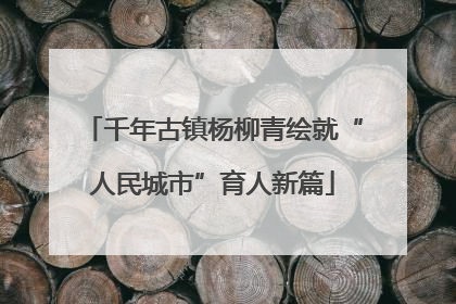 千年古镇杨柳青绘就“人民城市”育人新篇