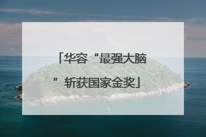 华容“最强大脑”斩获国家金奖