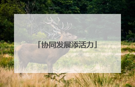 协同发展添活力