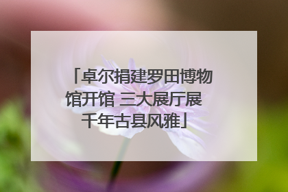 卓尔捐建罗田博物馆开馆 三大展厅展千年古县风雅