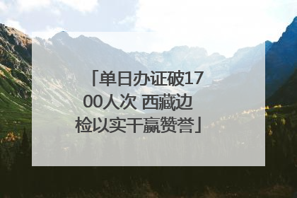 单日办证破1700人次 西藏边检以实干赢赞誉