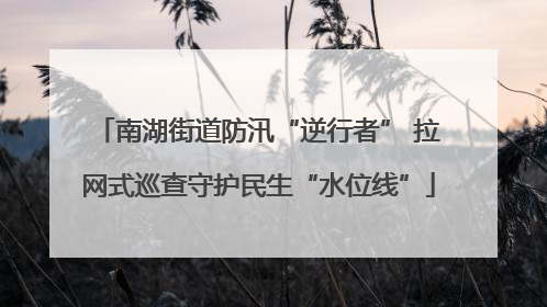 南湖街道防汛“逆行者” 拉网式巡查守护民生“水位线”