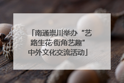 南通崇川举办“艺路生花·街角艺趣”中外文化交流活动