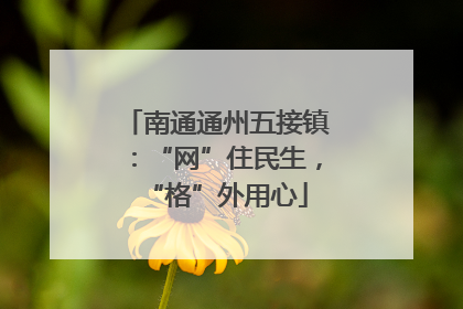 南通通州五接镇：“网”住民生，“格”外用心