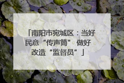 南阳市宛城区：当好民意“传声筒” 做好改造“监督员”