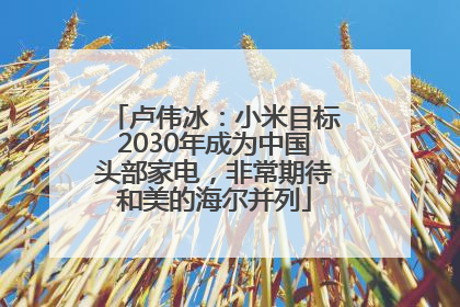 卢伟冰：小米目标2030年成为中国头部家电，非常期待和美的海尔并列