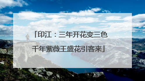 印江：三年开花变三色 千年紫薇王盛花引客来