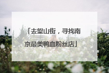 去望山街，寻找南京最美鸭血粉丝店