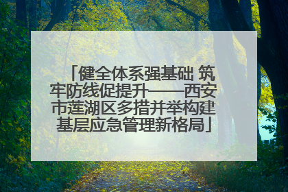 健全体系强基础 筑牢防线促提升——西安市莲湖区多措并举构建基层应急管理新格局