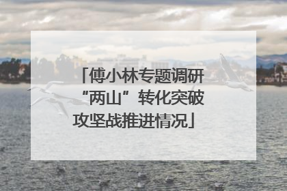 傅小林专题调研“两山”转化突破攻坚战推进情况