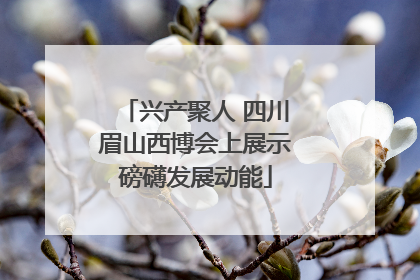 兴产聚人 四川眉山西博会上展示磅礴发展动能