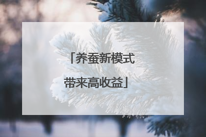 养蚕新模式带来高收益