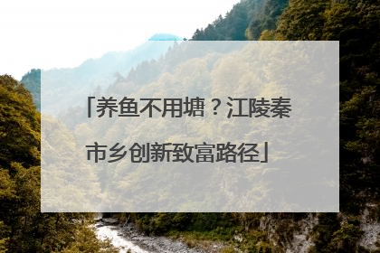养鱼不用塘？江陵秦市乡创新致富路径