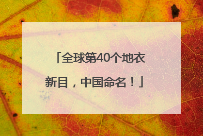 全球第40个地衣新目，中国命名！
