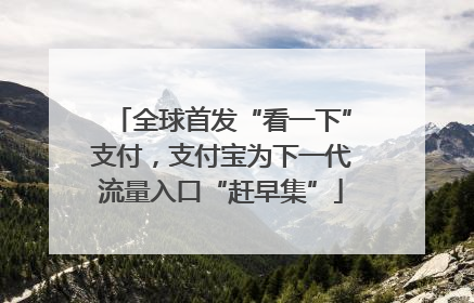 全球首发“看一下”支付，支付宝为下一代流量入口“赶早集”