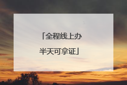 全程线上办 半天可拿证