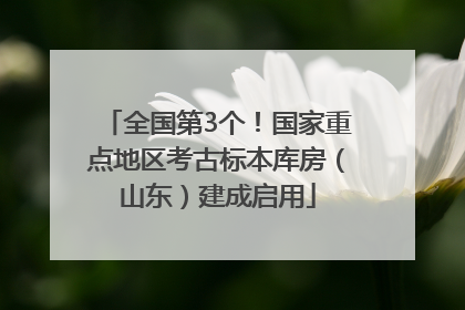 全国第3个！国家重点地区考古标本库房（山东）建成启用