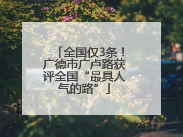全国仅3条！广德市广卢路获评全国“最具人气的路”