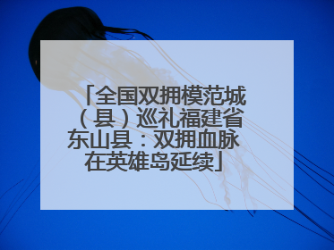 全国双拥模范城（县）巡礼福建省东山县：双拥血脉在英雄岛延续