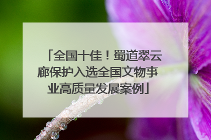 全国十佳！蜀道翠云廊保护入选全国文物事业高质量发展案例