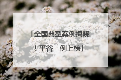 全国典型案例揭晓！平谷一例上榜
