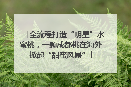 全流程打造“明星”水蜜桃，一颗成都桃在海外掀起“甜蜜风暴”