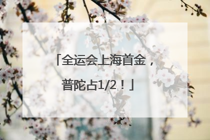 全运会上海首金，普陀占1/2！