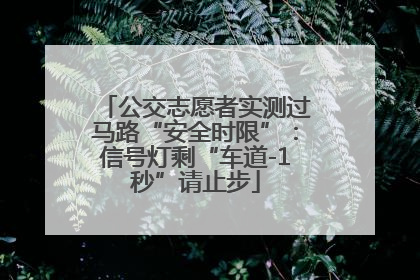 公交志愿者实测过马路“安全时限”：信号灯剩“车道-1秒”请止步