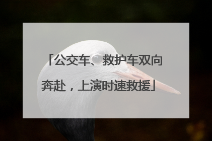 公交车、救护车双向奔赴，上演时速救援
