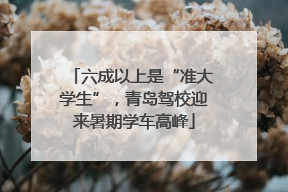 六成以上是“准大学生”，青岛驾校迎来暑期学车高峰