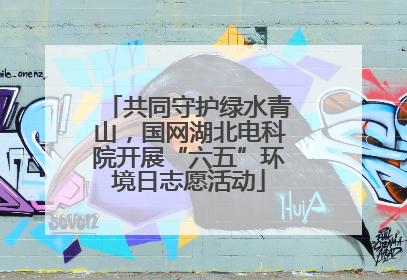 共同守护绿水青山，国网湖北电科院开展“六五”环境日志愿活动