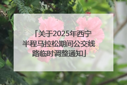 关于2025年西宁半程马拉松期间公交线路临时调整通知