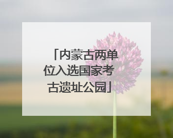 内蒙古两单位入选国家考古遗址公园