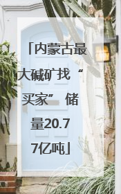 内蒙古最大碱矿找“买家” 储量20.77亿吨