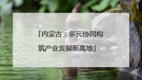内蒙古：多元协同构筑产业发展新高地