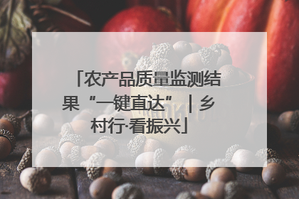 农产品质量监测结果“一键直达”｜乡村行·看振兴