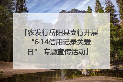 农发行岳阳县支行开展“6·14信用记录关爱日” 专题宣传活动