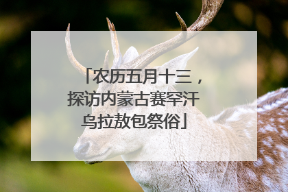 农历五月十三，探访内蒙古赛罕汗乌拉敖包祭俗