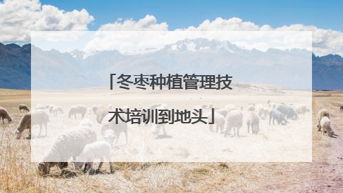 冬枣种植管理技术培训到地头